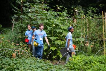 four students gardening