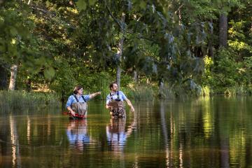 Researchers waste-up in a body of water in a swamp