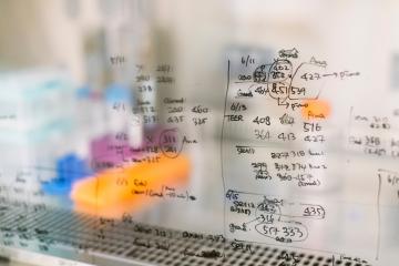 Scientific notation written on a frosted glass wall in front of a research laboratory
