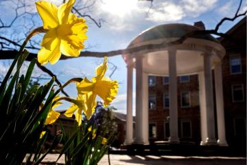 Daffodils in the foreground with the Old Well in the background.
