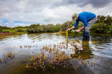 A person in a blue shirt gathers a sample from a body of water.
