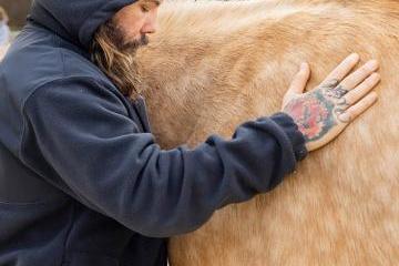 Matty Colon pets a horse. 
