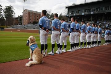 Dog and baseball players stand for national anthem