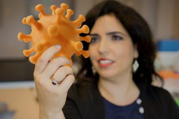 Ronit Freeman holds a coronavirus model