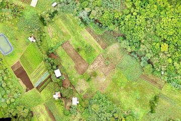 An aerial map of farmland in the Galapagos Islands.