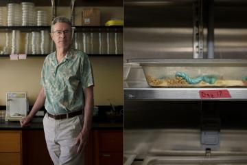 Joel Kingsolver stands in biology lab.&nbsp;