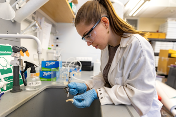 Rachel Geyer works over a sink in a lab while wearing a lab coat and protective glasses.