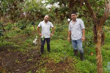 2 men standing in a forest for The Reforesting My Island project.