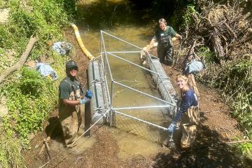 Three people stand in a river with a cage