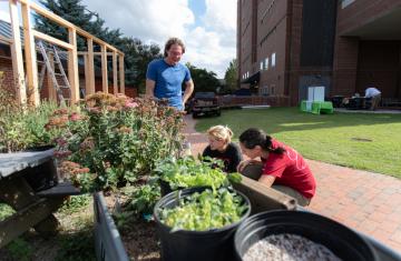 Three people gather around a raised bed of plants behind Davis Library.