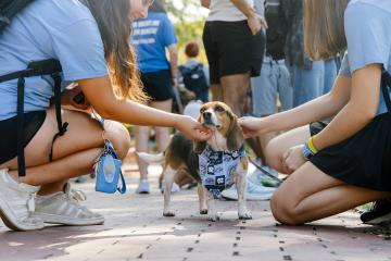 a low angle photo of two students petting a small beagle dog on Polk Place