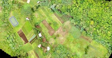 An aerial map of farmland in the Galapagos Islands.