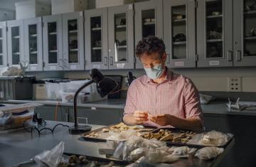 Ben Arbuckle examines animal remains.