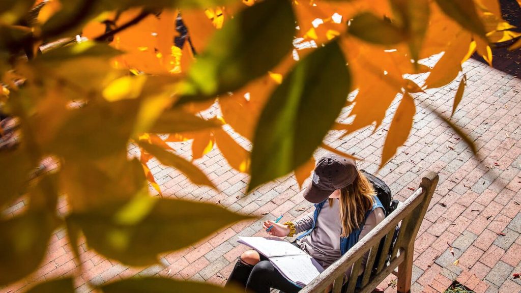 Student sitting on a bench under fall leaves on campus